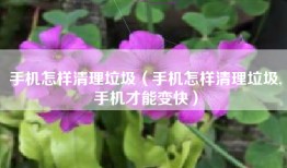 手机怎样清理垃圾（手机怎样清理垃圾,手机才能变快）