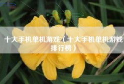十大手机单机游戏（十大手机单机游戏排行榜）