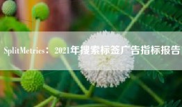 SplitMetrics：2021年搜索标签广告指标报告