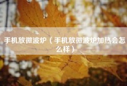 手机放微波炉（手机放微波炉加热会怎么样）