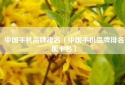 中国手机品牌排名（中国手机品牌排名前十名）