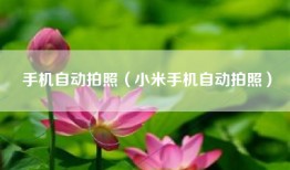 手机自动拍照（小米手机自动拍照）