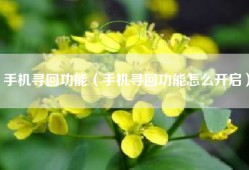 手机寻回功能（手机寻回功能怎么开启）