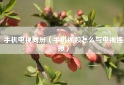 手机电视同屏（手机视频怎么与电视连接）