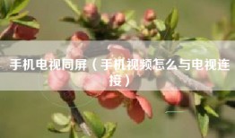 手机电视同屏（手机视频怎么与电视连接）