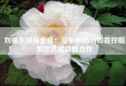刘强东现身北京：京东集团与如意控股集团达成战略合作
