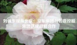 刘强东现身北京：京东集团与如意控股集团达成战略合作