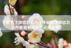 手机丢了微信怎么办（手机丢了微信怎么办里面有钱但不记得密码）