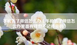 手机丢了微信怎么办（手机丢了微信怎么办里面有钱但不记得密码）