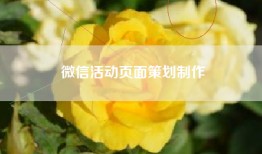 微信活动页面策划制作