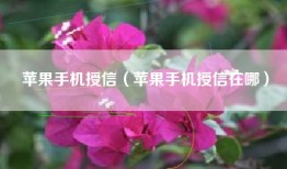 苹果手机授信（苹果手机授信在哪）