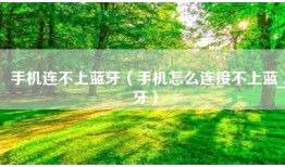 手机连不上蓝牙（手机怎么连接不上蓝牙）