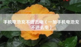 手机电池充不进去电（一加手机电池充不进去电）
