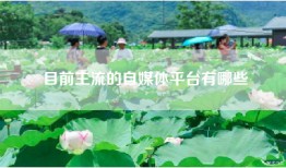 目前主流的自媒体平台有哪些