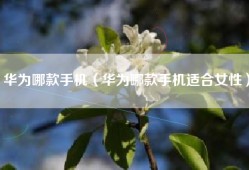华为哪款手机（华为哪款手机适合女性）