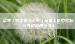 苹果手机中毒怎么办（苹果手机中毒怎么办被修改密码）