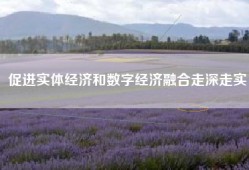 促进实体经济和数字经济融合走深走实