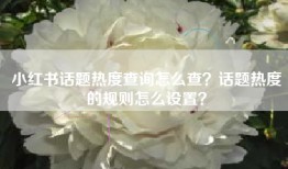 小红书话题热度查询怎么查？话题热度的规则怎么设置？