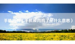 手机肉鸡（手机被肉鸡了是什么意思）