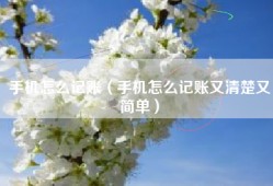 手机怎么记账（手机怎么记账又清楚又简单）