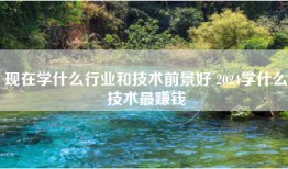 现在学什么行业和技术前景好 2024学什么技术最赚钱
