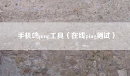 手机端ping工具（在线ping测试）