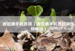 迪信通手机连锁（迪信通手机连锁派出所电话）