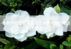 手机打电话打不出去（小米手机打电话打不出去）