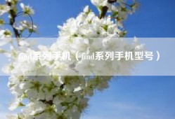 find系列手机（find系列手机型号）