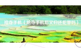 抢夺手机（抢夺手机后又归还犯罪吗）