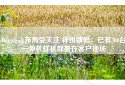 DeepSeek布局受关注 神州数码：已有300台一体机样机部署在客户现场