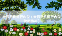 查看手机运行内存（查看手机运行内存使用情况）