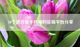 10个适合新手投稿的征稿平台分享