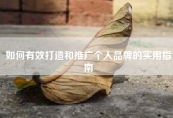 如何有效打造和推广个人品牌的实用指南