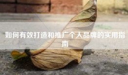 如何有效打造和推广个人品牌的实用指南