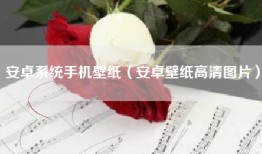 安卓系统手机壁纸（安卓壁纸高清图片）