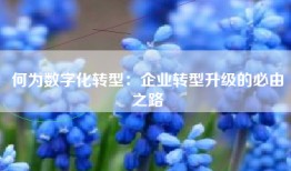 何为数字化转型：企业转型升级的必由之路