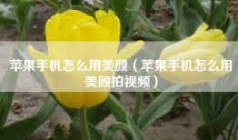 苹果手机怎么用美颜（苹果手机怎么用美颜拍视频）