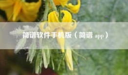 简谱软件手机版（简谱 app）