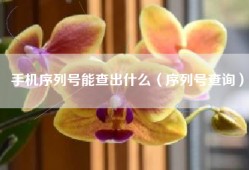 手机序列号能查出什么（序列号查询）
