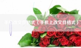 手机改文件格式（手机上改文件格式）