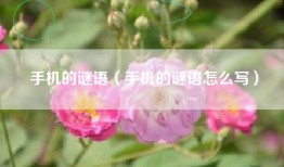 手机的谜语（手机的谜语怎么写）