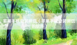 苹果手机安装微信（苹果手机安装微信的软件）
