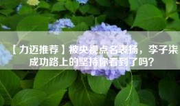 【力迈推荐】被央视点名表扬，李子柒成功路上的坚持你看到了吗？