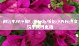 微信小程序排行榜最新,微信小程序热度榜单实时更新