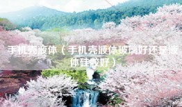 手机壳液体（手机壳液体玻璃好还是液体硅胶好）