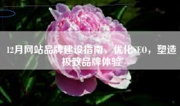 12月网站品牌建设指南，优化SEO，塑造极致品牌体验