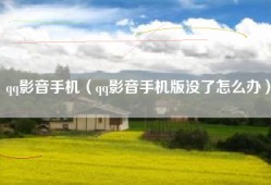 qq影音手机（qq影音手机版没了怎么办）
