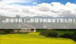 qq影音手机（qq影音手机版没了怎么办）