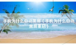 手机为什么自动黑屏（手机为什么自动黑屏重启）